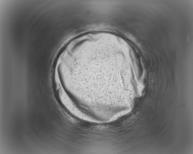 X0000071951463200608041540