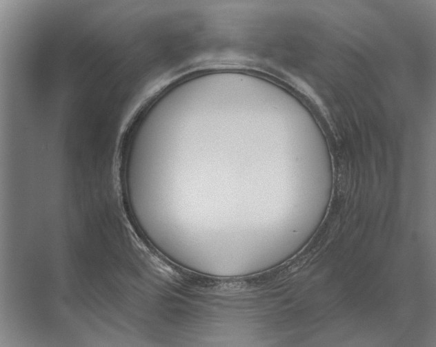 X0000071951464200608041540