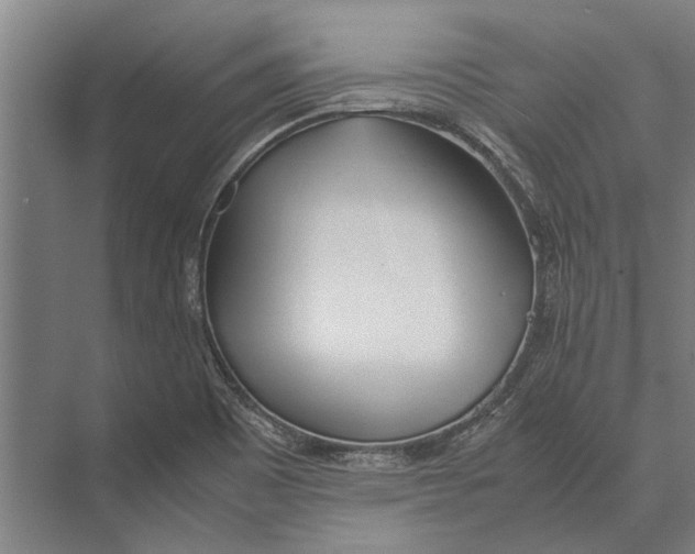 X0000071951465200608041540