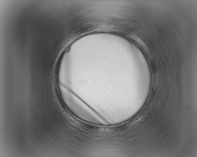 X0000071951467200608041540