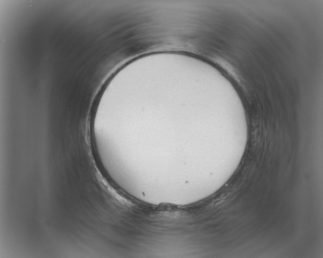 X0000071951468200608041540