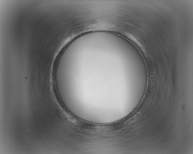 X0000071951469200608041540