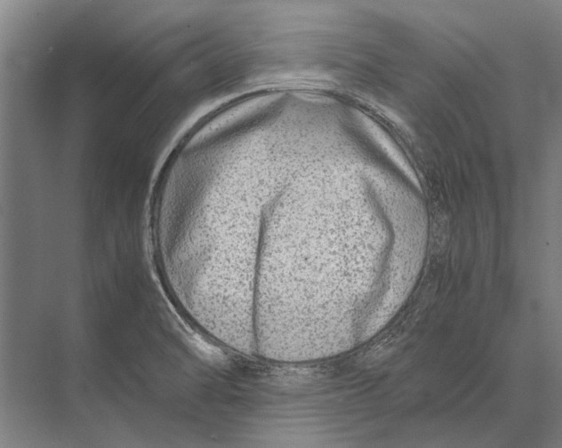 X0000071951470200608041540