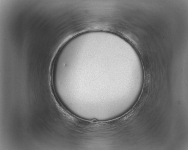 X0000071951471200608041540