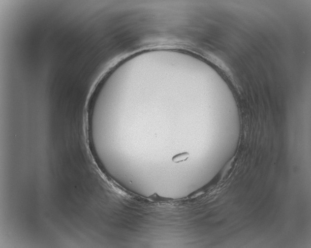 X0000071951472200608041540