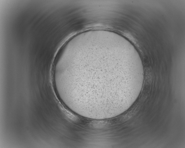 X0000071951474200608041540