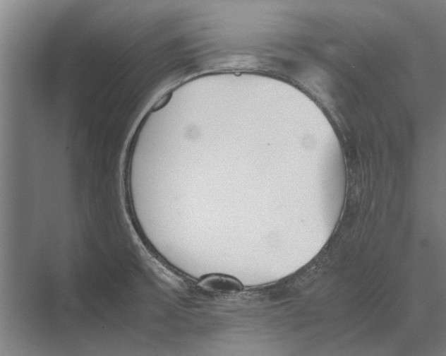 X0000071951475200608041540