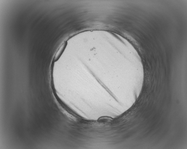 X0000071951479200608041540