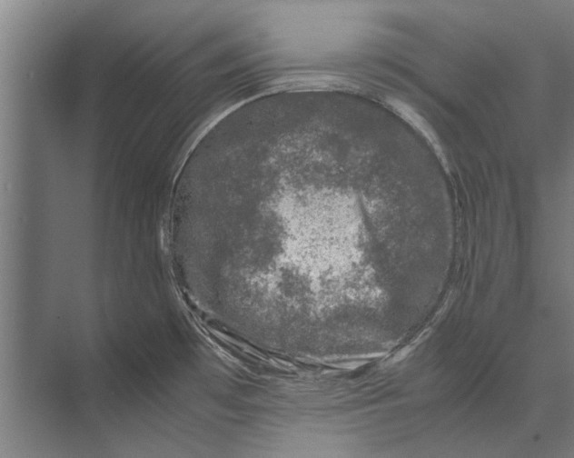 X0000071951481200608041540