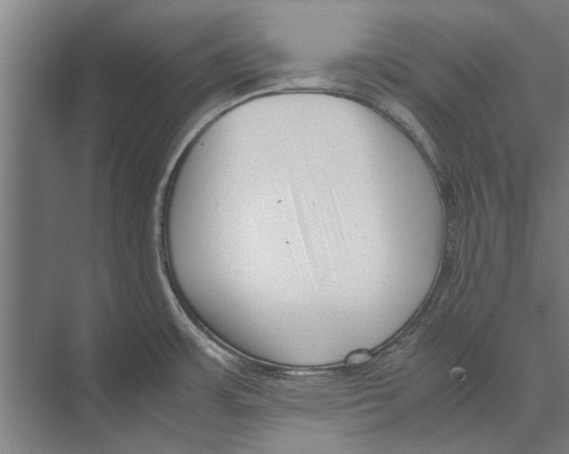 X0000071951483200608041540