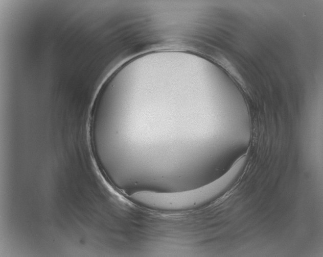 X0000071951484200608041540