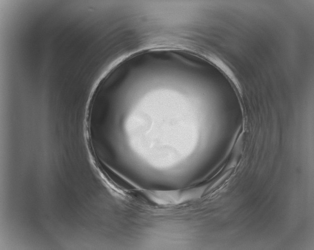 X0000071951485200608041540