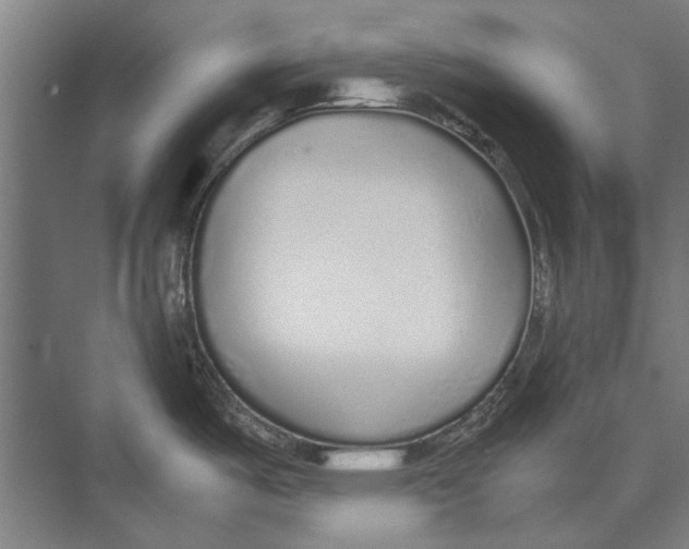 X0000071951487200608041540