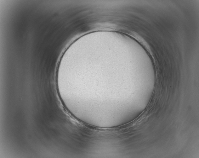 X0000071951488200608041540