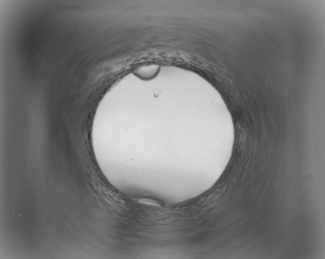 X0000071951489200608041539