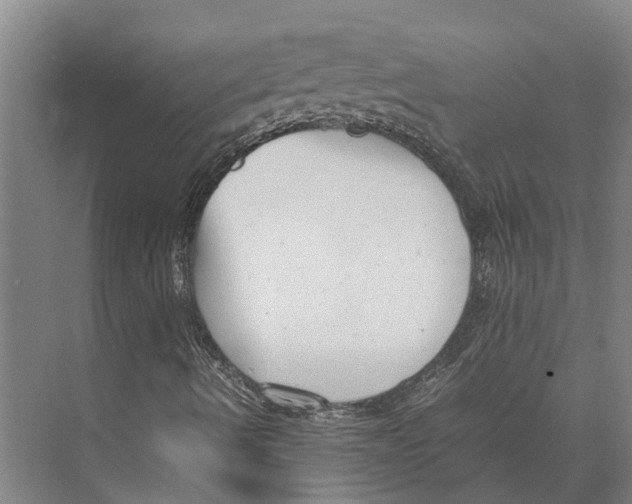 X0000071951490200608041539