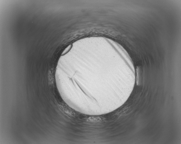 X0000071951491200608041539