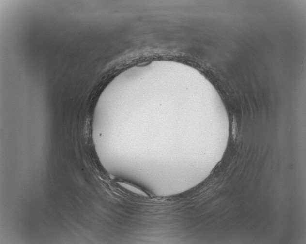 X0000071951492200608041539