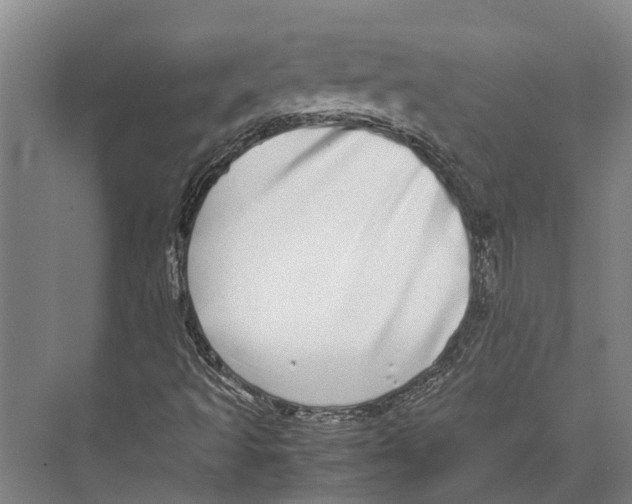 X0000071951493200608041539