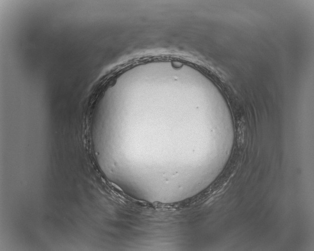 X0000071951494200608041539