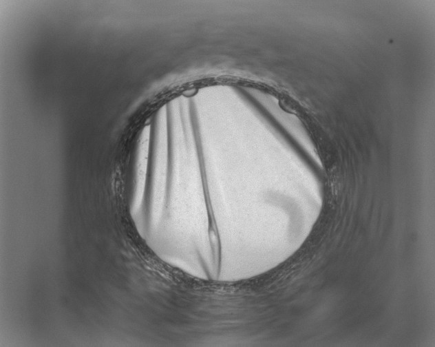 X0000071951495200608041539