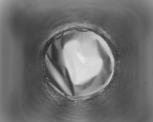 X0000071951496200608041539