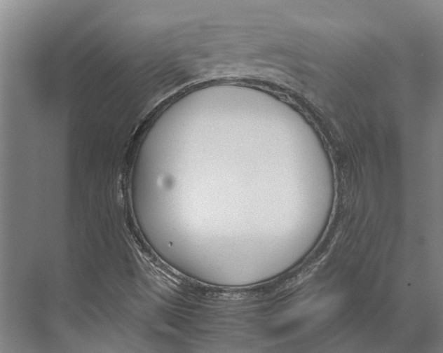 X0000071951497200608041539