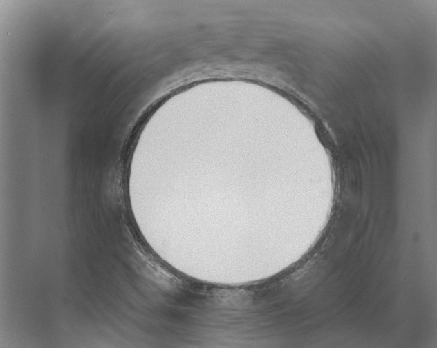 X0000071951498200608041539