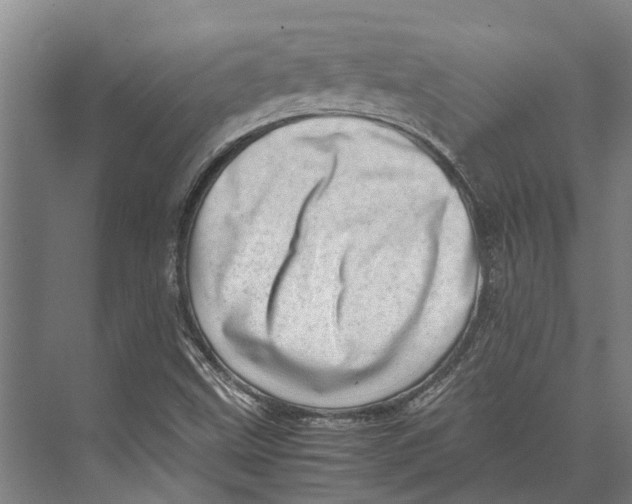 X0000071951499200608041539