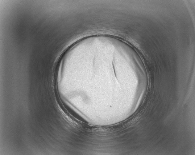 X0000071951500200608041539