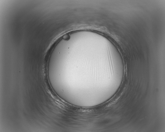 X0000071951501200608041539