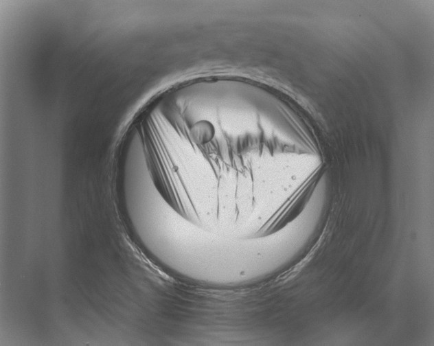 X0000071951502200608041539