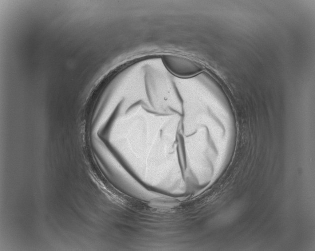 X0000071951503200608041539