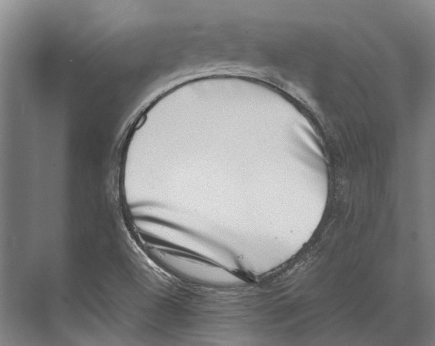 X0000071951504200608041539