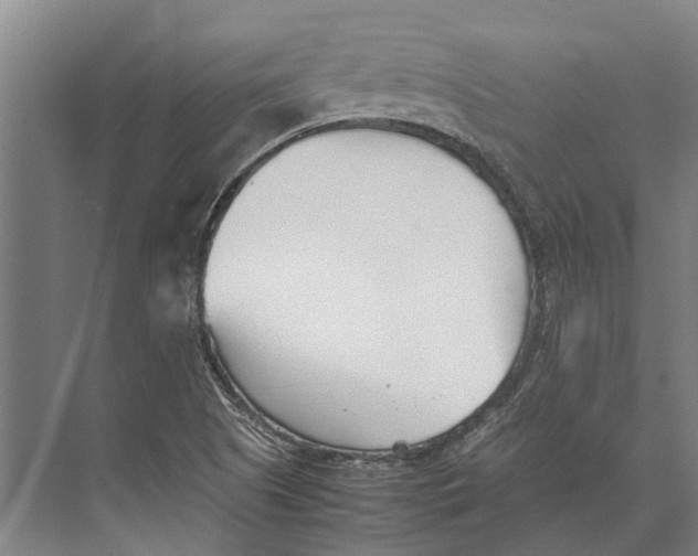 X0000071951505200608041539