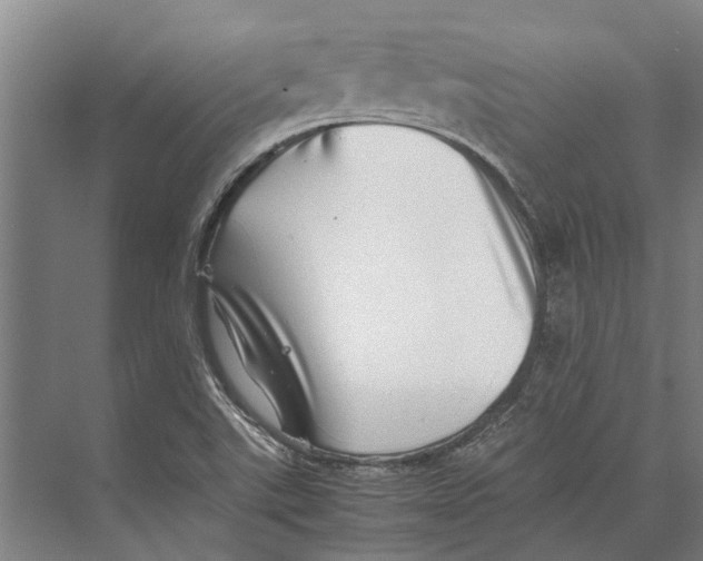 X0000071951507200608041540