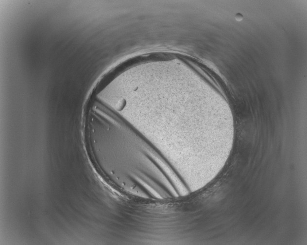 X0000071951508200608041540