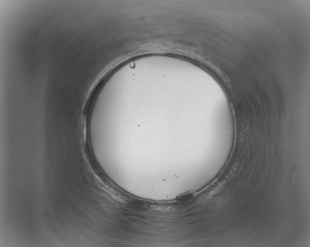 X0000071951509200608041540