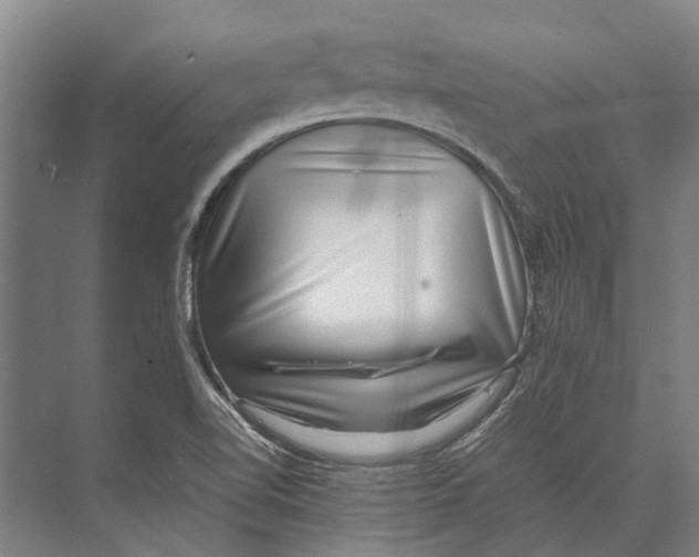 X0000071951510200608041540