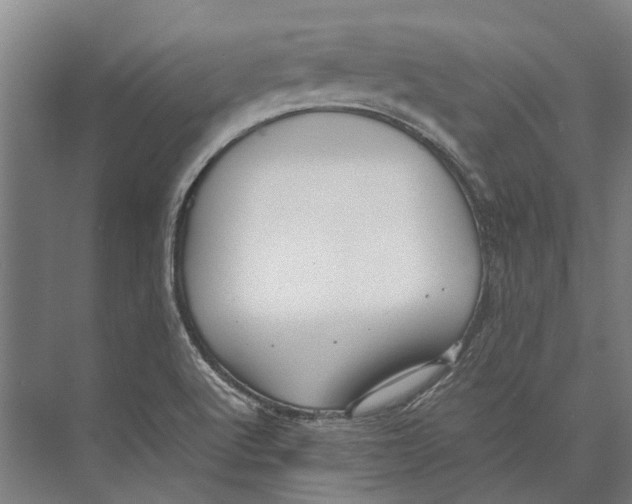 X0000071951512200608041540