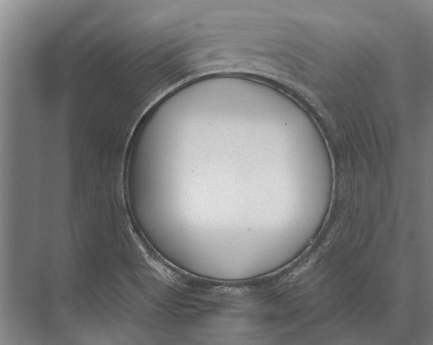 X0000071951513200608041540