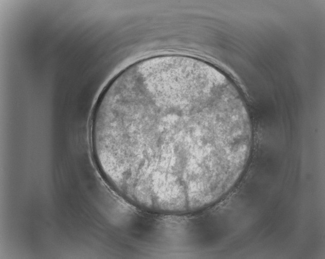 X0000071951514200608041540