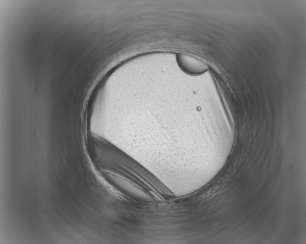 X0000071951515200608041540