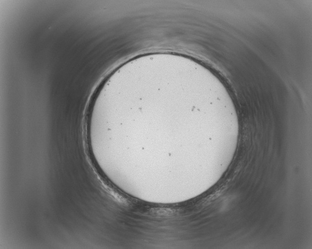 X0000071951517200608041540