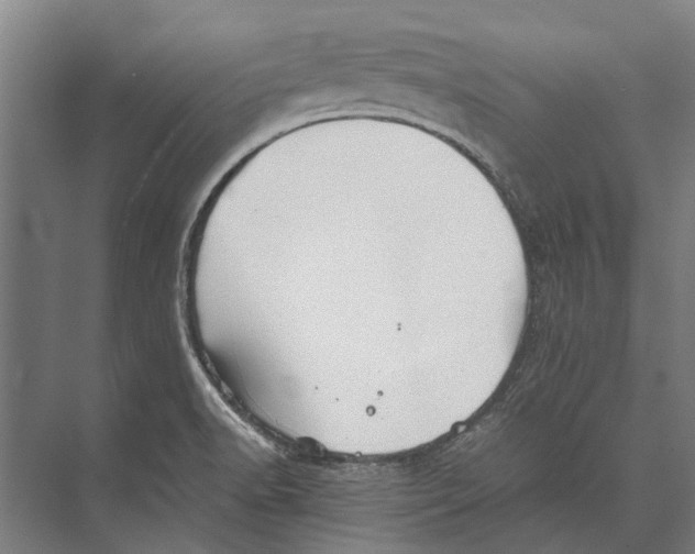 X0000071951518200608041540