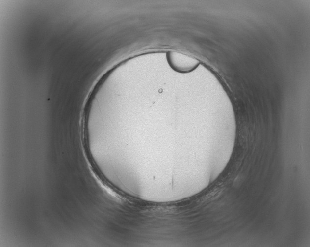 X0000071951519200608041540