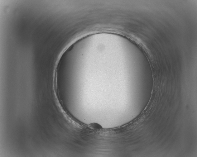 X0000071951520200608041540