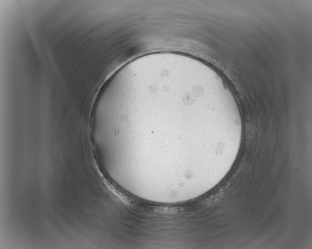 X0000071951521200608041540