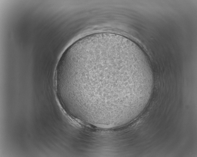 X0000071951522200608041540