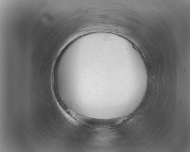 X0000071951523200608041540